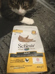 Сухой монопротеиновый корм для взрослых котов Schesir Cat Adult Chicken с курицей 10 кг (8005852760814) фото от покупателей 6