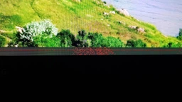 Монитор 25" LG UltraWide 25UM58-P фото от покупателей 2