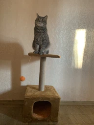 Домик когтеточка для кота дряпка для кошки Мур-Мяу КотэДж 34x34x67 см в сизалевой веревке Темно синий - темно бежевый