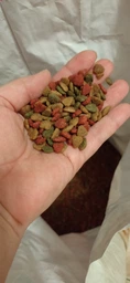 Сухой корм Amity Eco Cats MIX для котов всех пород микс мяса 20 кг (8436538940129)