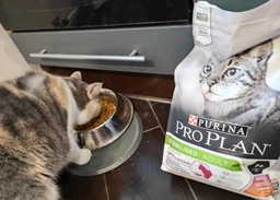 Сухий корм Pro Plan Sterilised Adult Duck with Liver з качкою і печінкою для стерилізованих котів 1,5кг