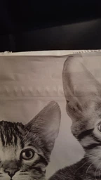 Сухий корм для котят Pro Plan Original Kitten Chicken 1,5 кг (курка) фото від покупців 2