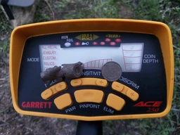 Металлоискатель Garrett ACE 250 фото от покупателей 2