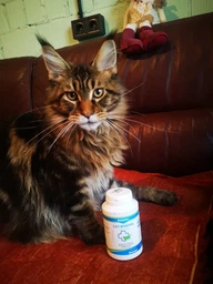 Поливитаминный комплекс Canina Cat-Mineral Tabs 150 г / 300 таблеток (4027565220939)