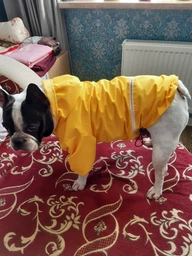 Куртка-дощовик для собак Noble Pet Moss Blue 7XL (M4106/7XL) фото від покупців 1