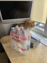 Упаковка минеральной негазированной воды Evian 1.5 л х 6 бутылок (3068320085005_3068320001128) фото от покупателей 2