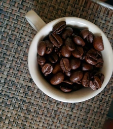 Зернова кава Рelican Rouge Barista 1кг 201904 фото від покупців 3