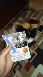Вологий корм для котят Pro Plan Kitten Healthy Start 10 pouch х 85 г - індічка