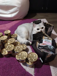 Упаковка вологого корму для кішок Sheba з лососем у соусі 85 г 28 шт (4770608264253) фото від покупців 4