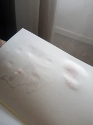 Скетчбук Manuscript Klimt 1907-1908 Plus A5 Чисті 160 сторінок з відкритою палітуркою (M- Klimt+)