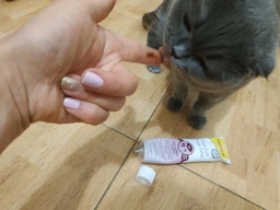 Паста Для кошек Gimborn GimCat Malt-Soft Экстра для выведения шерсти 200 г (4002064417127 / 4002064417943) фото от покупателей 18