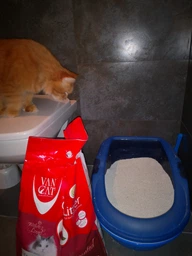 Наполнитель для кошачьего туалета Van Cat Super Premium Quality Natural Бентонитовый комкующий 5 кг (6 л) (8699245857726/8699245856163) фото от покупателей 10