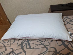 Подушка MirSon Raffaello 100 Пуховая мягкая 50x70 см (2200000007070)