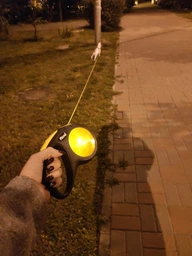 Поводок-рулетка Flexi New Neon L 5 м (4000498031711) фото от покупателей 2