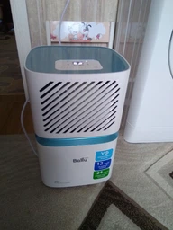 Осушитель воздуха Ballu BDV-12L фото от покупателей 10