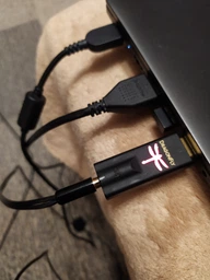ЦАП AudioQuest Dragonfly DAC Black (DACBLKE) фото от покупателей 1