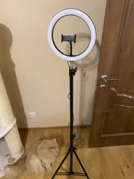 Кольцевая led лампа мощная светодиодная 26 см с держателем для смартфона и штативом 2,1 м фото от покупателей 8
