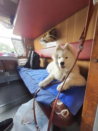 Коврик для собак и кошек Trixie охлаждающий 65х50 см Голубой (4011905286846)