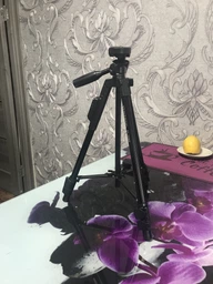 Телескопический штатив для камеры и телефона Yunteng VCT5208 с пультом + чехол (51330yop) фото от покупателей 14