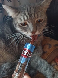 Ласощі Trixie Premio Sticks with Salmon & Trout для котів палички з лососем та фореллю 5 г 5 шт (4011905427256) фото від покупців 17