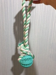 Іграшка для собак Trixie Denta Fun Playing Rope with Ball масажний м'яч для зубів на канаті 7 см (TX-3299)