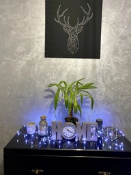 Світлодіодна гірлянда нитка LTL довжина 4.5м 50led на батарейках блакитна Blue фото від покупців 4