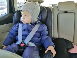 Автокрісло Lionelo Sander 0-36 кг Isofix Gray фото від покупців 6