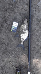 Фідерне вудилище River Sports Fishing Progress композит 3.6 m 180g фото від покупців 1