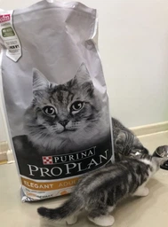 Сухий корм для кішок Purina Pro Plan Adult Derma Care підтримка здоров'я шкіри та краси шерсті з лососем 400 г (7613036544962) фото від покупців 3