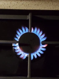 Варильна поверхня газова ELECTROLUX GPE363MB фото від покупців 13