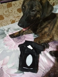 Штанишки защитные Trixie 23493 40-49 см Черные (4011905234939) фото от покупателей 9