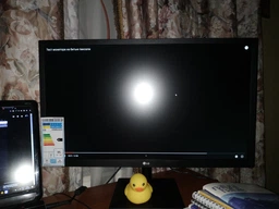 Монитор 23.8" LG 24MK430H-B