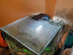 LED-світильник AquaLighter Nano 6500 К 400 Лм 4.5 Вт для прісноводного акваріума до 25 л (8225) фото від покупців 1