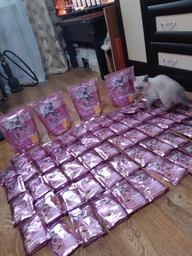 Вологий корм для кошенят Purina One Junio з лососем в гриль соусі 24 х 85 г 24х85г(7613038224466) фото від покупців 17