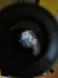Микроскоп учебный школьный детский My First Lab MFL-06 (MFL-066340NEW) фото от покупателей 10