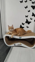 Когтеточка картонная Say Meow Grace, 67 см х 27 см х 24 см