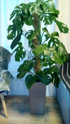 Розумний вазон Plastkon Elise 30 см коричневий 4111385072 фото від покупців 6