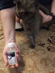 Нейтралізатор запаху котячої сечі ODORCIDE® Cat Odor-Off 100 мл фото від покупців 8