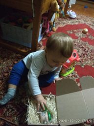 М'ясне пюре Gerber Ніжна індичка з 6 місяців 80 г (7613033644962) фото від покупців 17