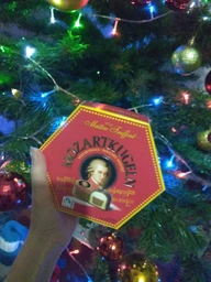 Цукерки шоколадні Maitre Truffout Mozart Kugeln 300 г