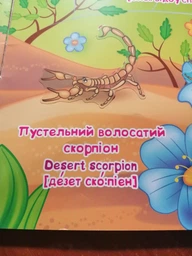 Велика книжка. Розвивальні наліпки. Розумнi завдання. Комахи та павукоподібні F00021860 9789669870551