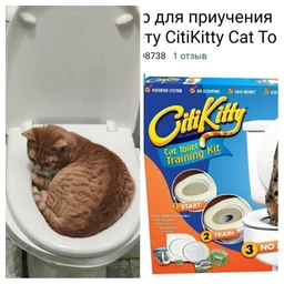 Набор для обучения кошек к унитазу Citi Kitty, Накладка на унитаз для котов, Система приучения кошек к унитазу фото от покупателей 6
