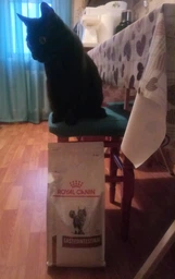 Корм для кошек Royal Canin Gastrointestinal при расстройствах пищеварения, 4 кг фото от покупателей 13
