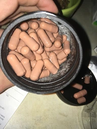 Жироспалювач L-Carnitine, 150 капсул Vansiton 000288828 фото від покупців 16