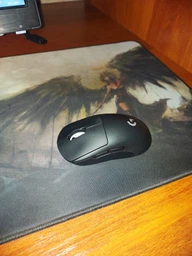 Миша Logitech G Pro X Superlight Wireless White (910-005942) фото від покупців 4
