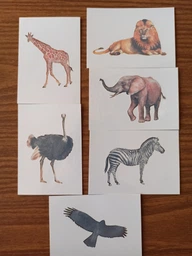 Тимчасові тату TATTon.me Animal Set (TSAnimal) фото від покупців 1
