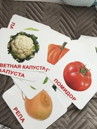 Доман. Карточки. МОЙ ПЕРВЫЙ ЧЕМОДАН”. На русском языке. Подарочный набор карточек. фото от покупателей 6