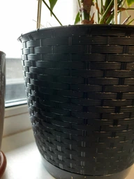 Горщик для квітів Prosperplast RATOLLA Н-12.7 см круглий з підставкою білий (70762-449) фото від покупців 2