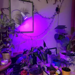 Фитолампа GreenHouse GR-8 з світильником-прищіпка фото від покупців 14