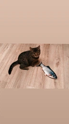 Іграшка для кота вібруюча жива риба CAPSBOARD FISH (340002) фото від покупців 10